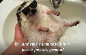 Dreigo