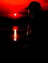 Zona_62